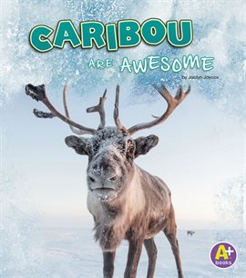 Cover image for Caribou Are Awesome