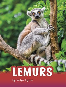 Cover image for Lemurs