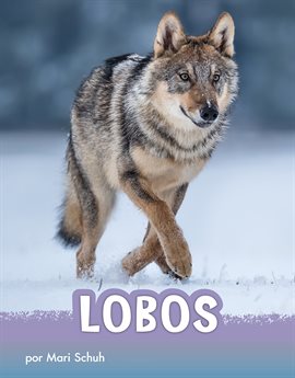 Cover image for Lobos