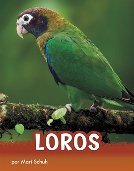 Cover image for Loros