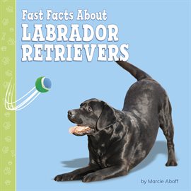 Cover image for Fast Facts About Labrador Retrievers