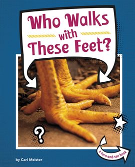 Cover image for Who Walks with These Feet?