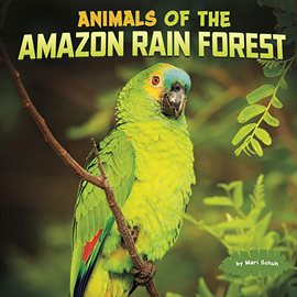 Cover image for Animals of the Amazon Rain Forest