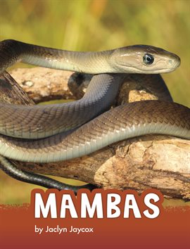 Cover image for Mambas