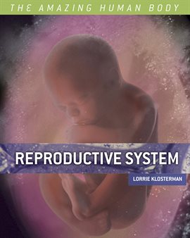 Cover image for Reproductive System