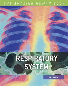 Cover image for Respiratory System