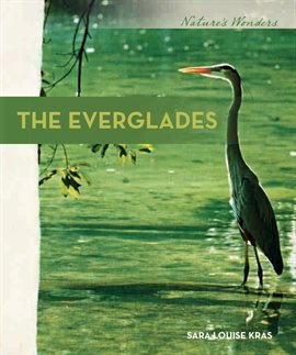 Cover image for The Everglades