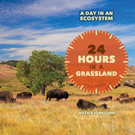Imagen de portada para 24 Hours in a Grassland