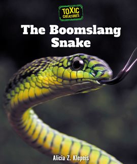 Cover image for The Boomslang Snake