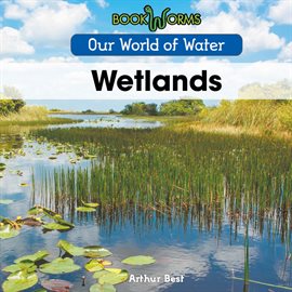 Imagen de portada para Wetlands