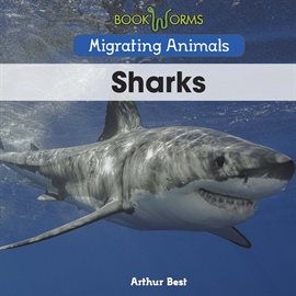 Cover image for Sharks