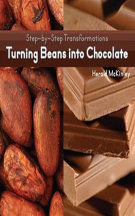 Cover image for Turning Beans into Chocolate