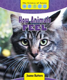Cover image for How Animals Feel