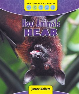 Cover image for How Animals Hear