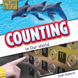 Cover image for Counting in Our World