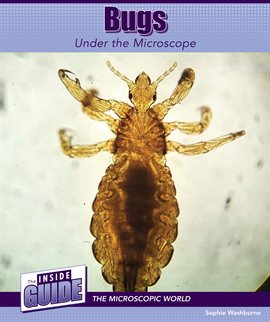 Imagen de portada para Bugs Under the Microscope