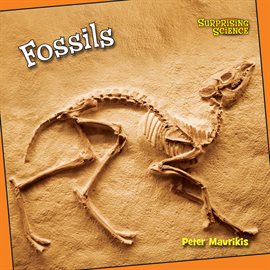 Imagen de portada para Fossils