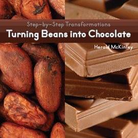 Cover image for Turning Beans into Chocolate