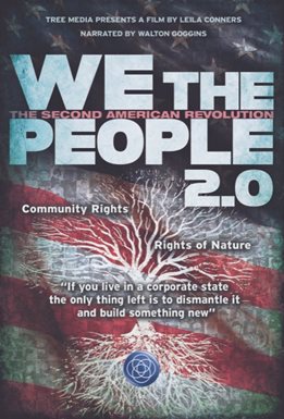 Cover image for We the People 2.0