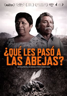 ¿qué Les Pasó A Las Abejas?