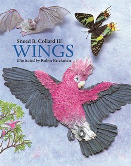 Imagen de portada para Wings