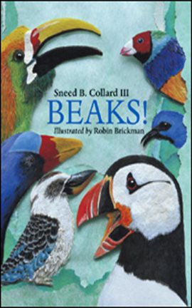 Cover image for Beaks!