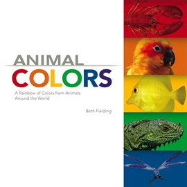 Cover image for Animal Colors
