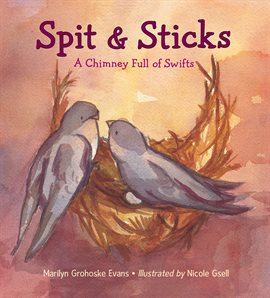 Cover image for Spit & Sticks