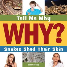 Cover image for Snakes Shed Their Skin