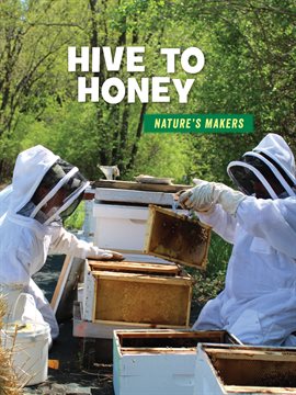 Cover image for Hive to Honey
