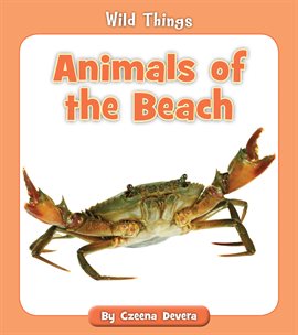 Cover image for Animals of the Beach