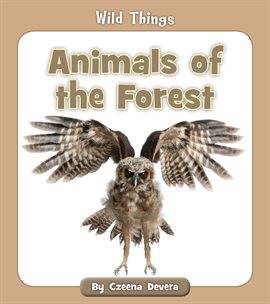 Cover image for Animals of the Forest