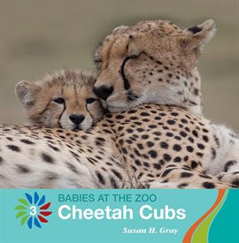 Cover image for Cheetah Cubs