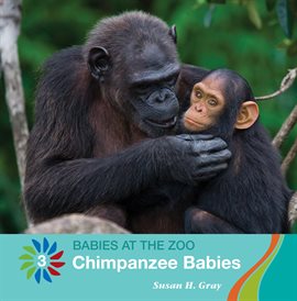 Cover image for Chimpanzee Babies