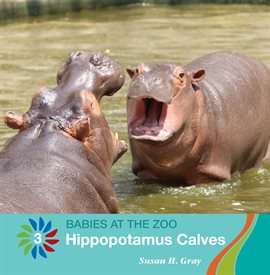 Cover image for Hippopotamus Calves