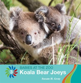 Cover image for Koala Bear Joeys