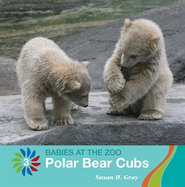Cover image for Polar Bear Cubs