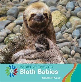 Cover image for Sloth Babies