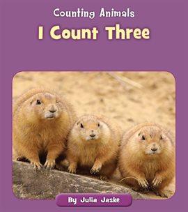 Imagen de portada para I Count Three