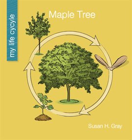 Cover image for Maple Tree