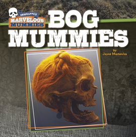 Cover image for Bog Mummies