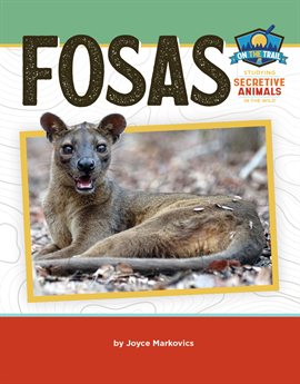 Cover image for Fosas