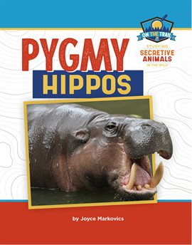 Cover image for Pygmy Hippos