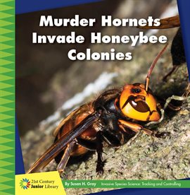 Cover image for Murder Hornets Invade Honeybee Colonies