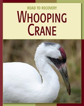 Cover image for Whooping Crane