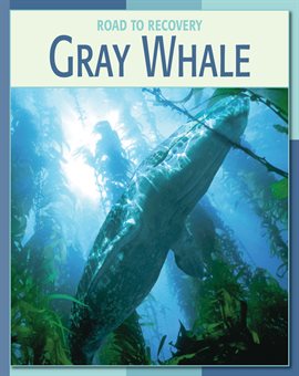 Cover image for Gray Whale