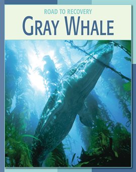 Imagen de portada para Gray Whale