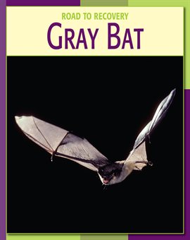 Cover image for Gray Bat