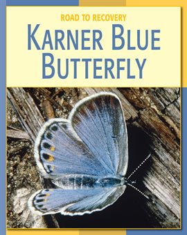 Imagen de portada para Karner Blue Butterfly