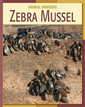 Cover image for Zebra Mussel